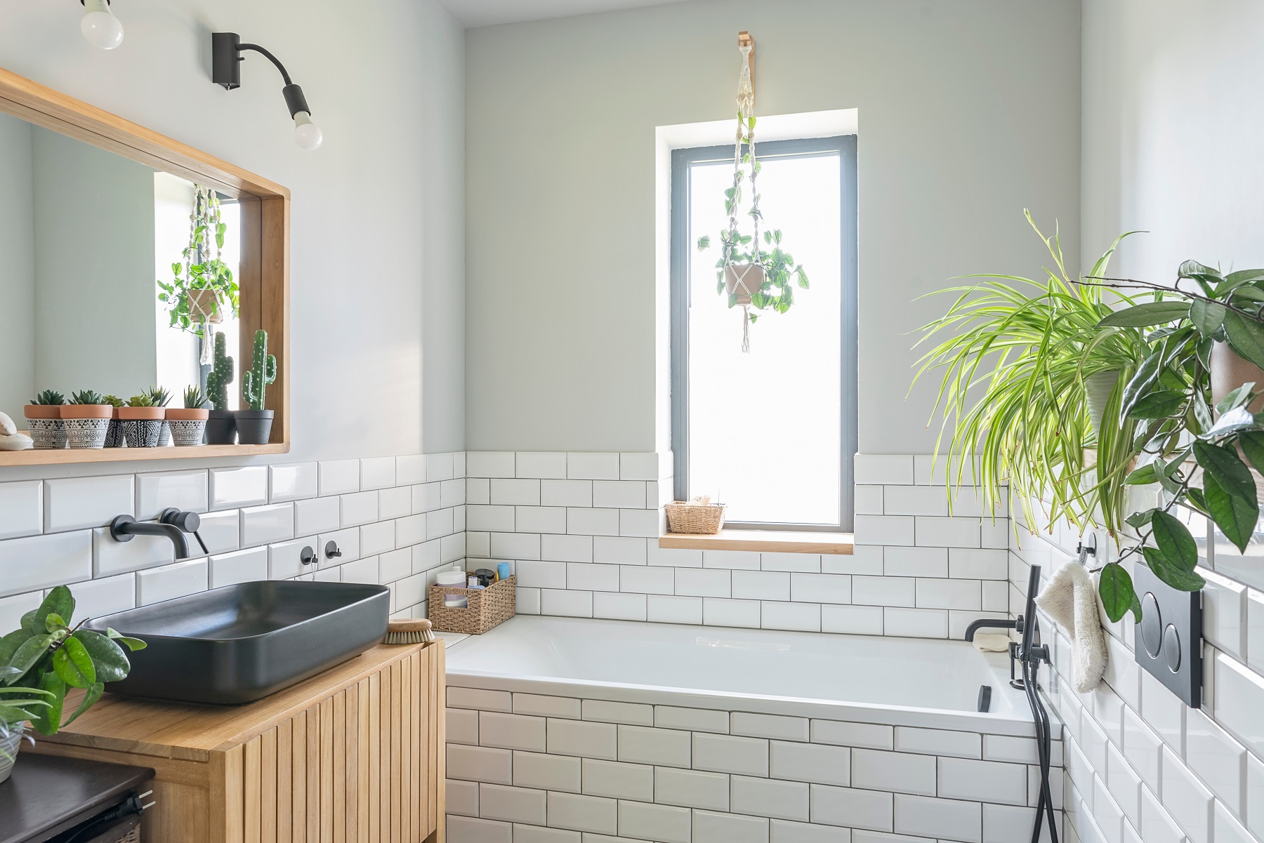 plumbing issue blog image